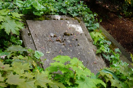 Bad Godesberg